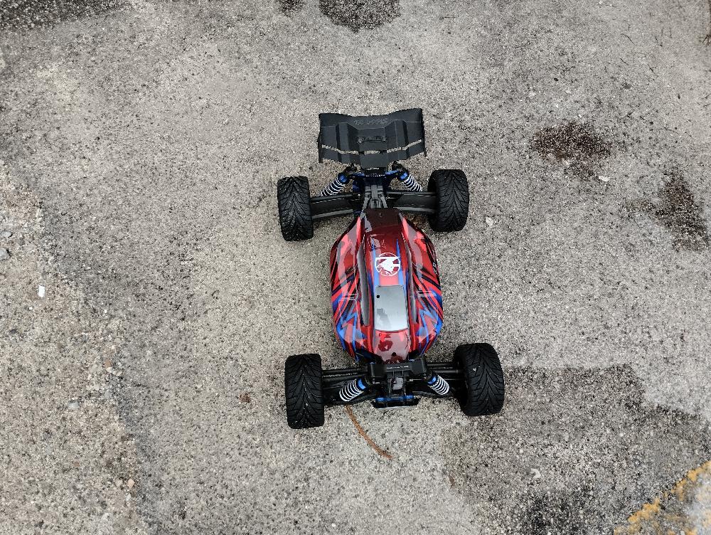 Sledge run photo