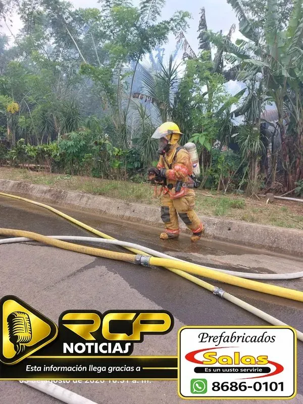 ENTRE LA TRAGEDIA, UN MILAGRO: BOMBEROS SALVAN A PERRITO DE INCENDIO EN VENECIA