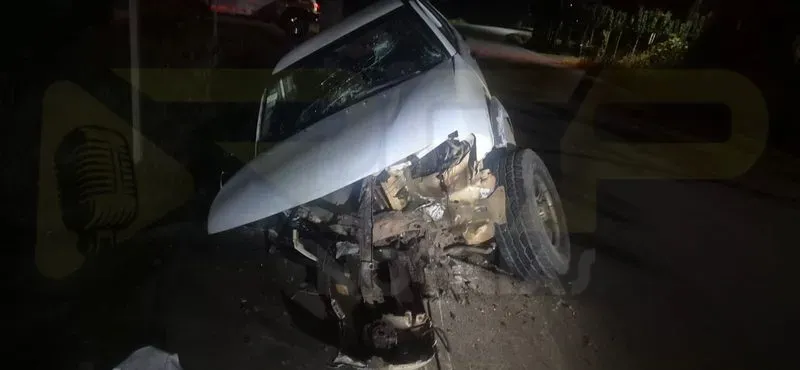 Imagen 2