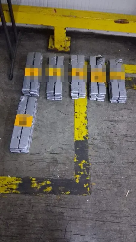 Mediante la Operación Soberanía, autoridades decomisan 73 kilos de cocaína