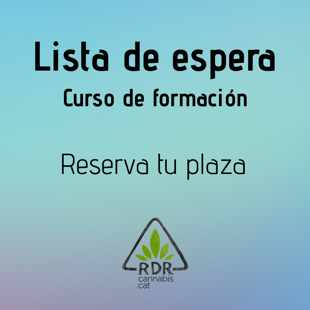 lista de espera Formación rdr.png