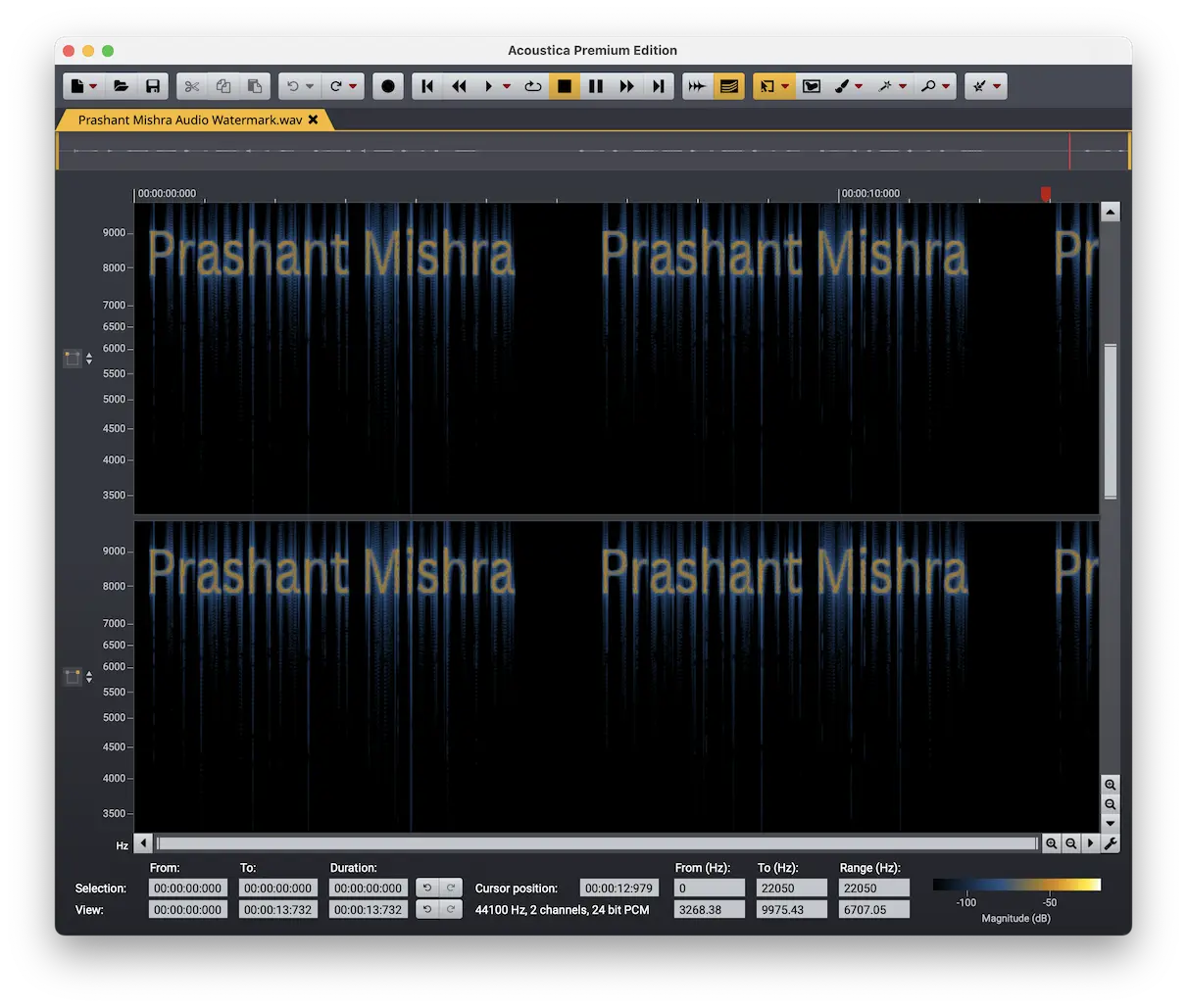 watermarked audio spectrogram in acon digital acoustica