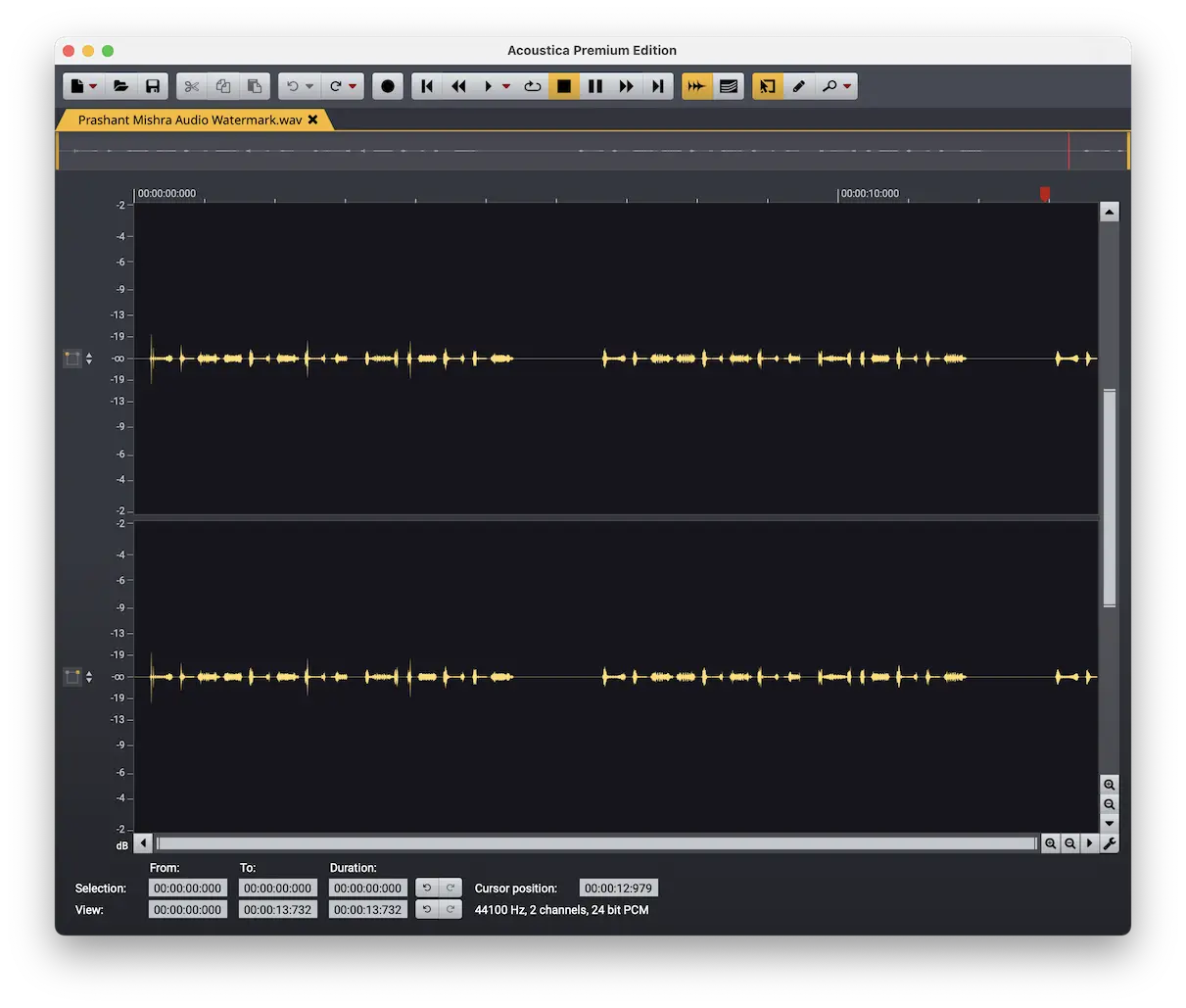 watermarked audio waveform in acon digital acoustica