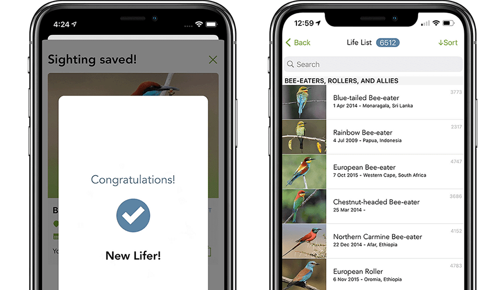 Merlin Bird ID Life List Examples
