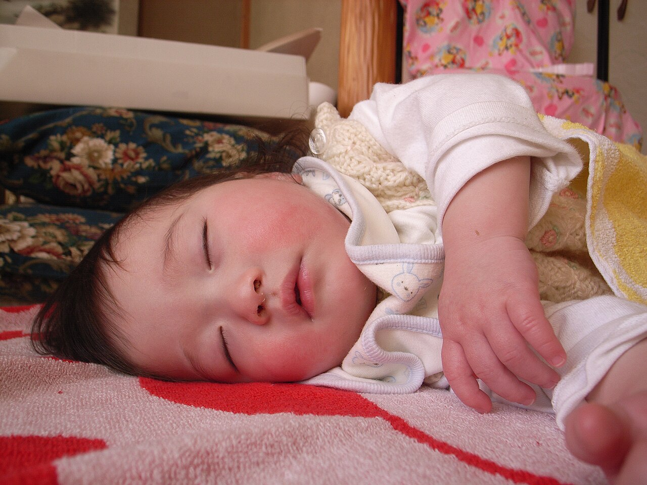 निद्रा का विज्ञान / Why Sleep Matters