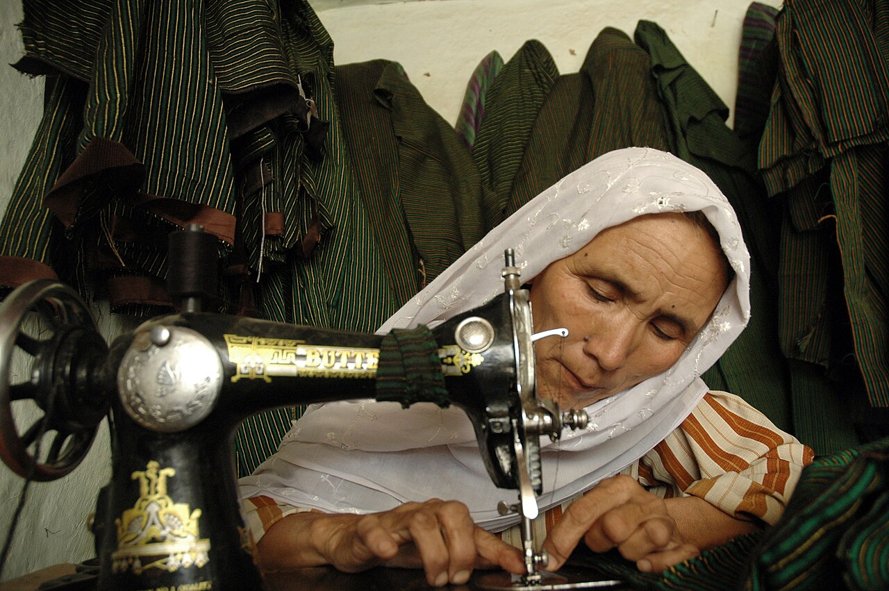 लघु वित्त: परिचय, विकास और प्रभाव / Microfinance and Self-Help Groups