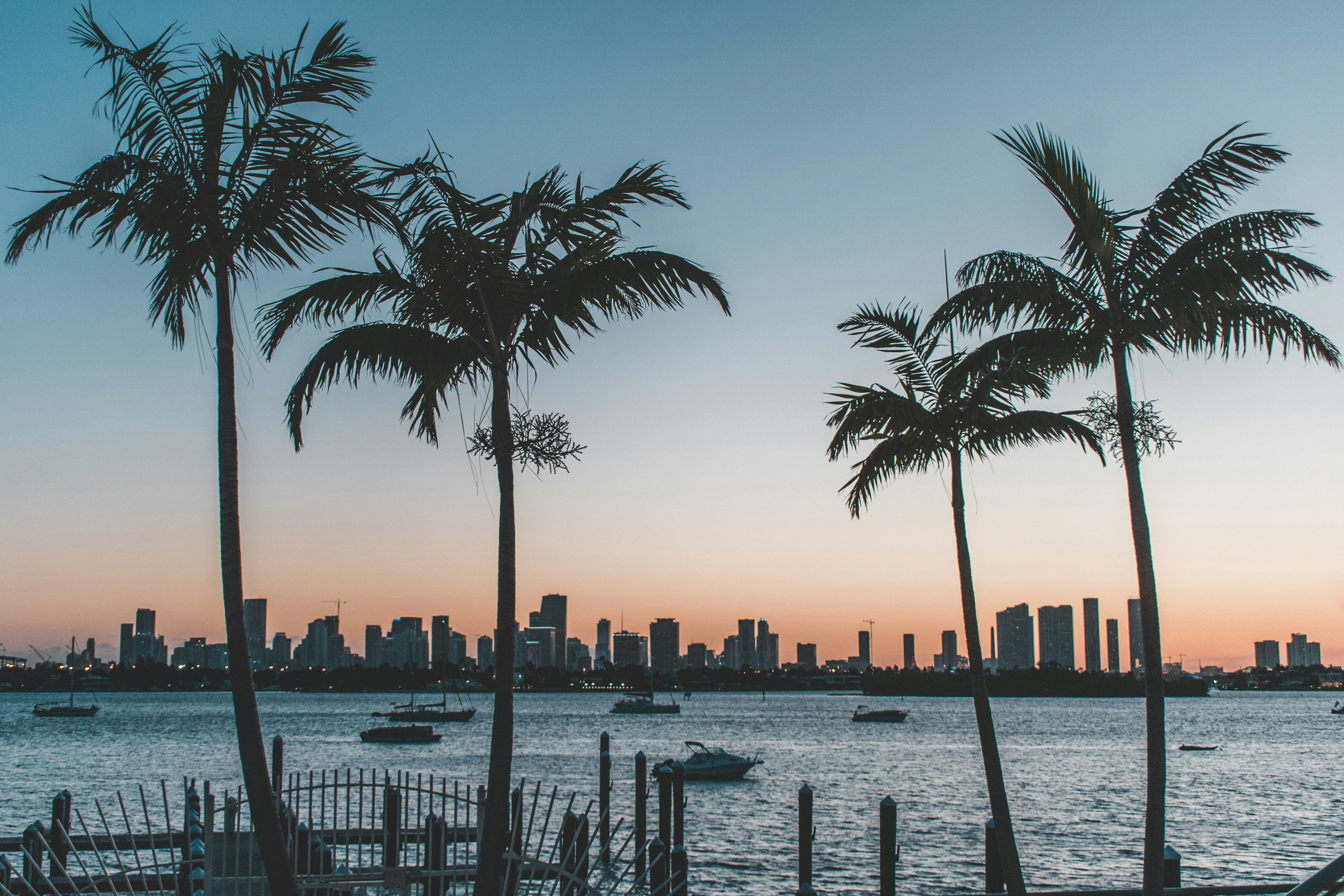 Real Estate Investment in Miami: Using AI to Capitalize on South Florida's Booming Property Market