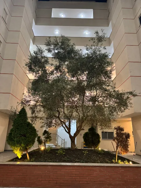 Apartament 1+1 ne Golem