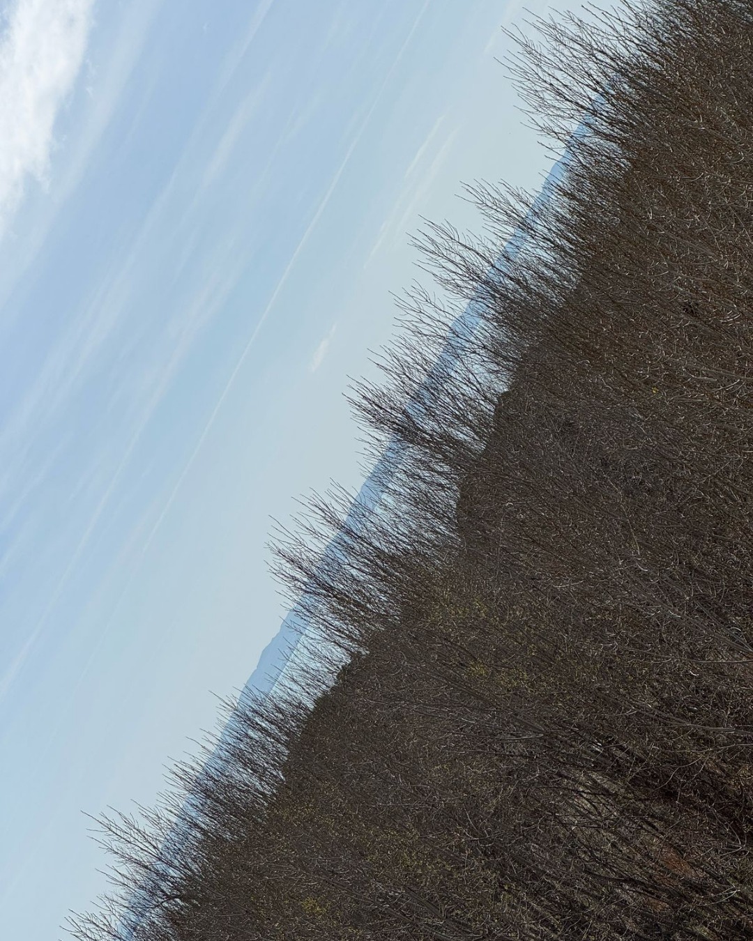 Per shitje Apartamente 1+1 Plazh Iliria - Durres - Image 3