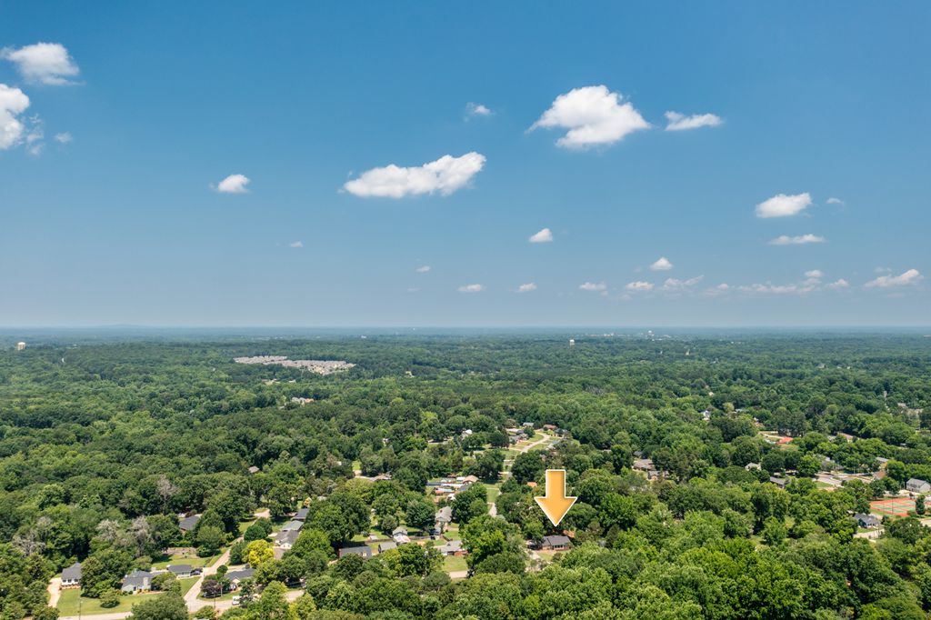 DJI_0871_Arrow