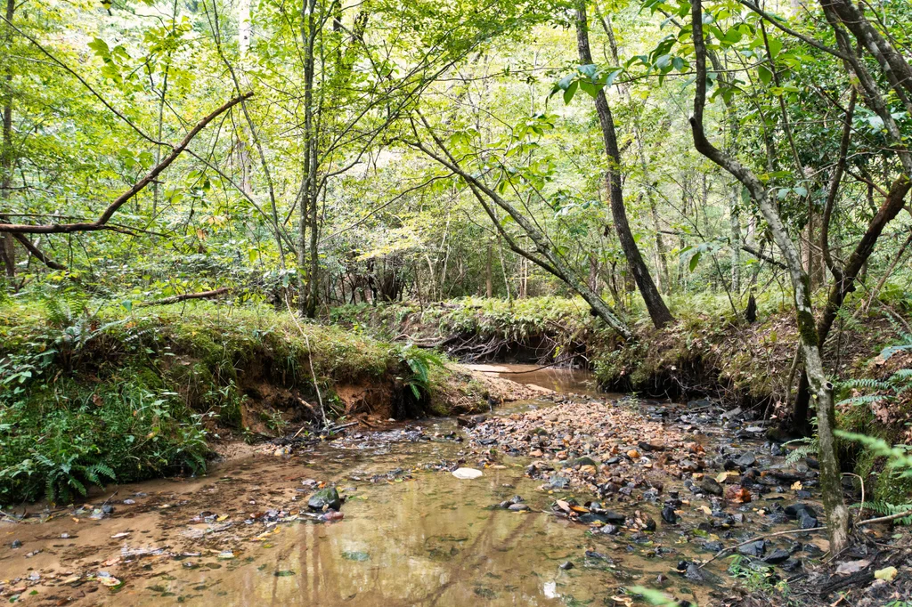 DJI_0617