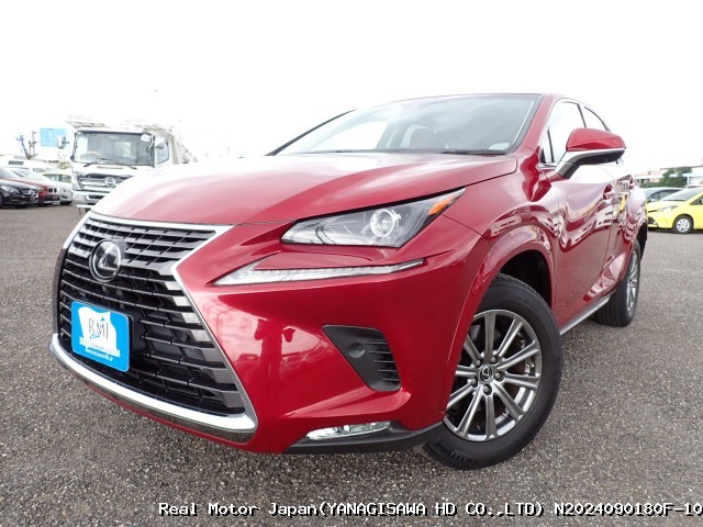 2018 LEXUS NX