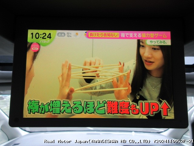 Thumbnail 20