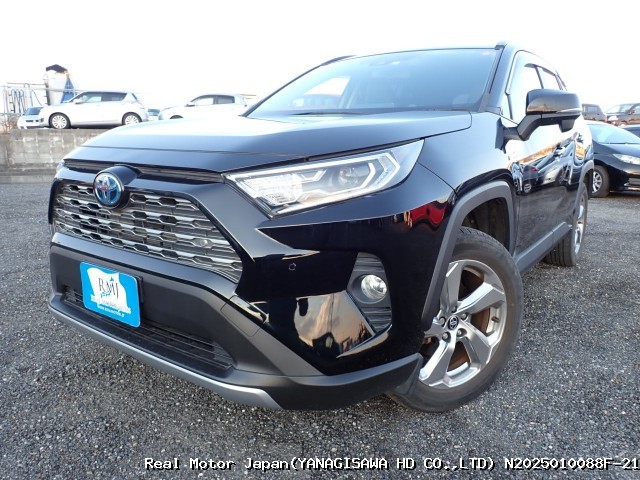 2019 TOYOTA RAV4
