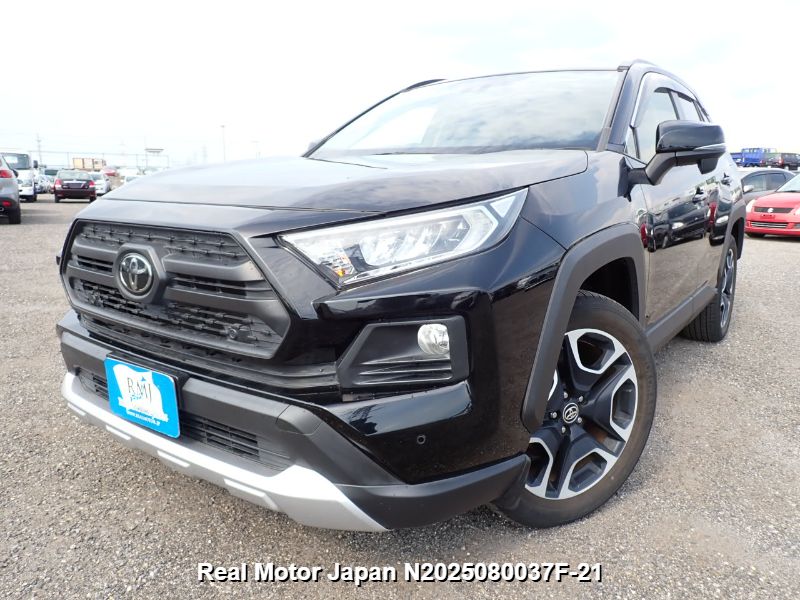 2019 TOYOTA RAV4