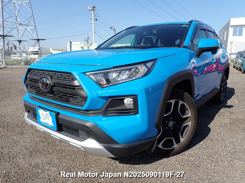 2019 TOYOTA RAV4