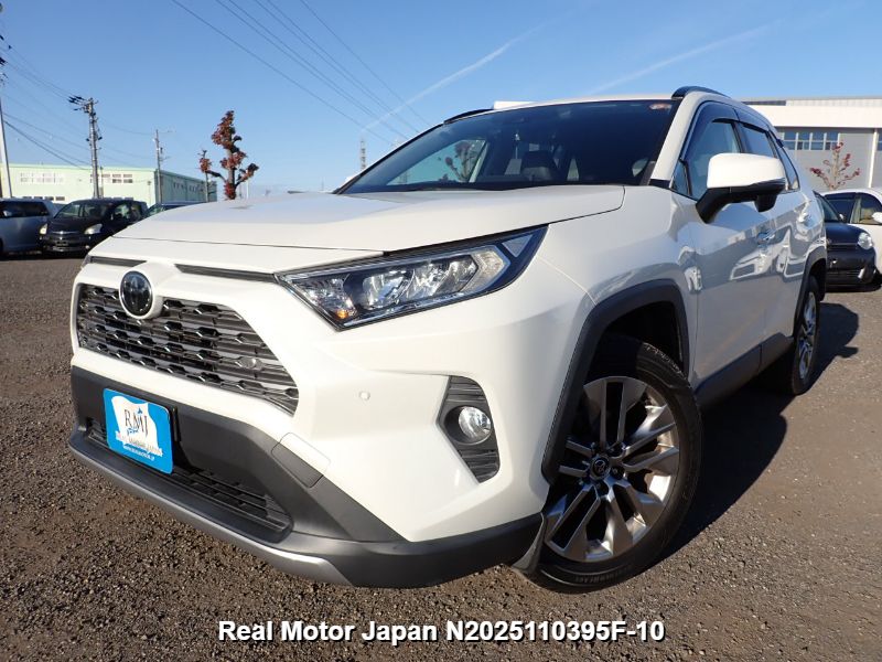 2019 TOYOTA RAV4
