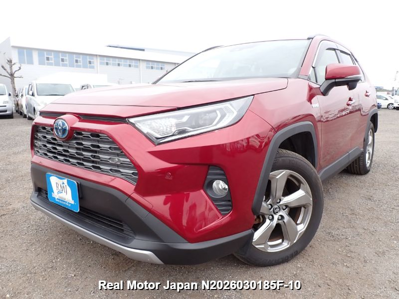 2019 TOYOTA RAV4