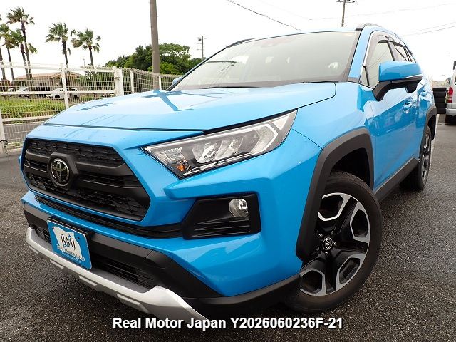 2019 TOYOTA RAV4 – view 1