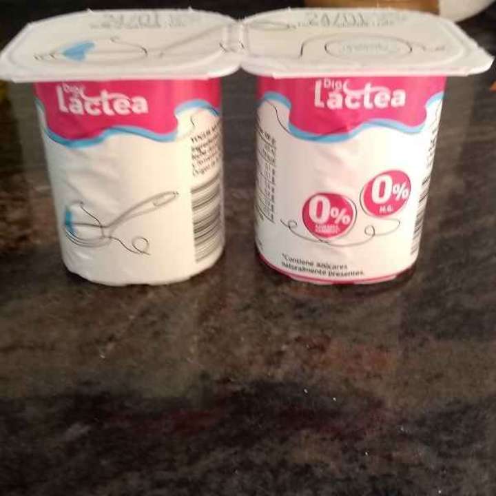 Yogurt natural desnatado
