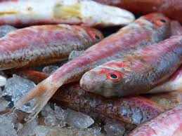 Salmonete