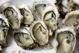 Ostra Ostra