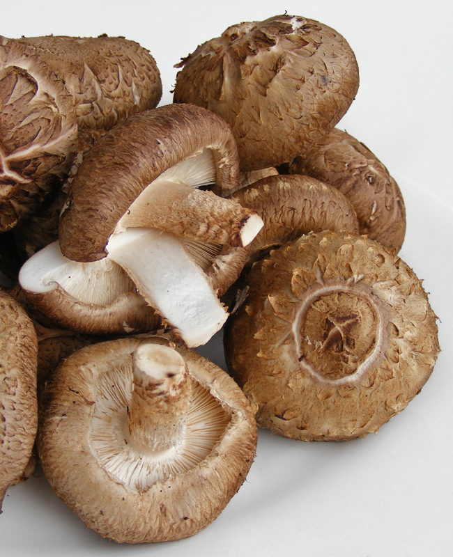 Shiitake