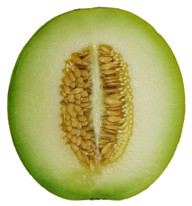 Melon verde