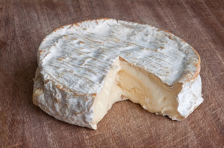 Queso brie