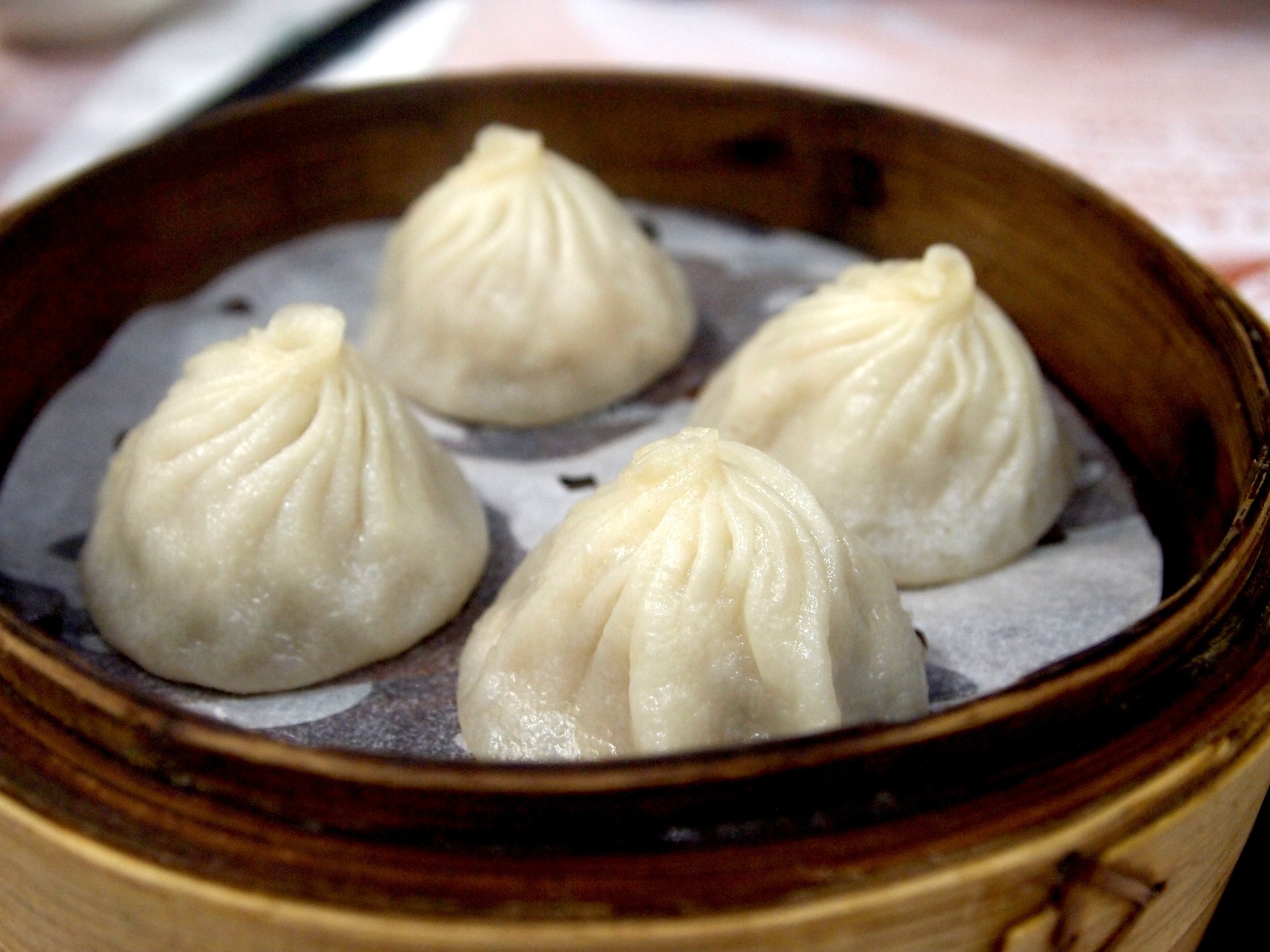 Masa de dumplings