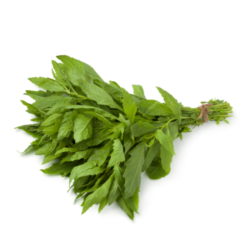 Epazote
