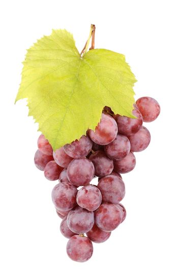 Hojas de parra