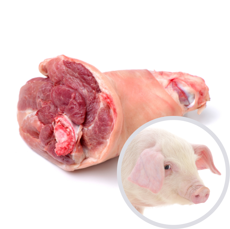 Pork knuckle