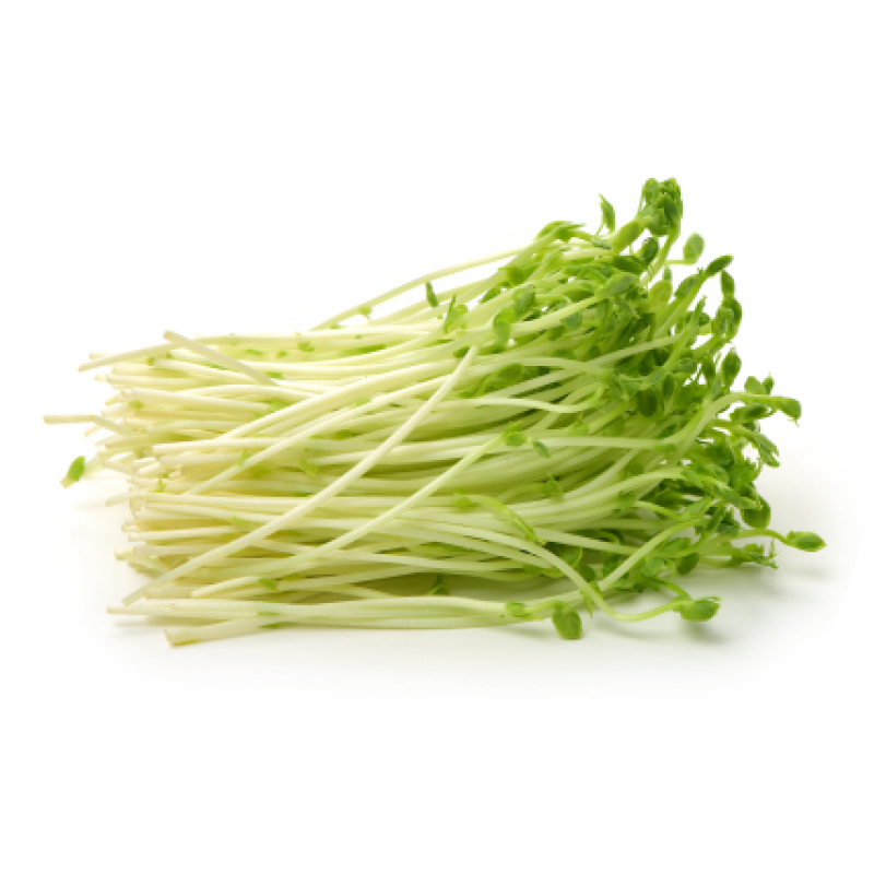 Brotes de guisante Brotes de guisante