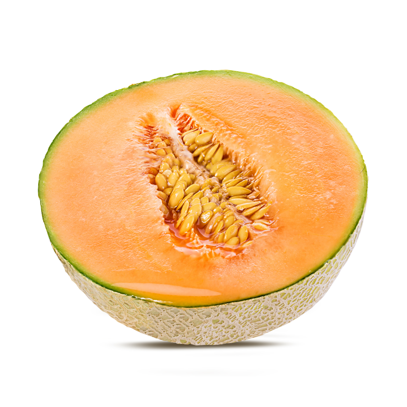 Melon cantaloup