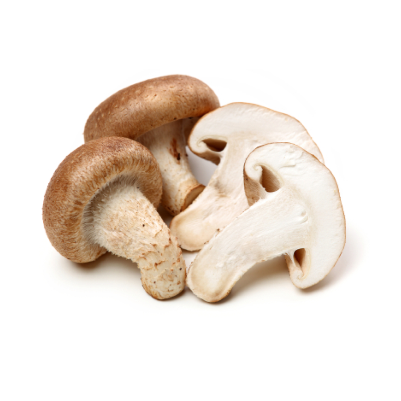 Shiitake