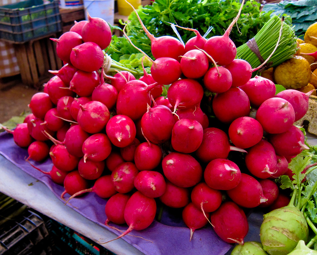 Rabanitos