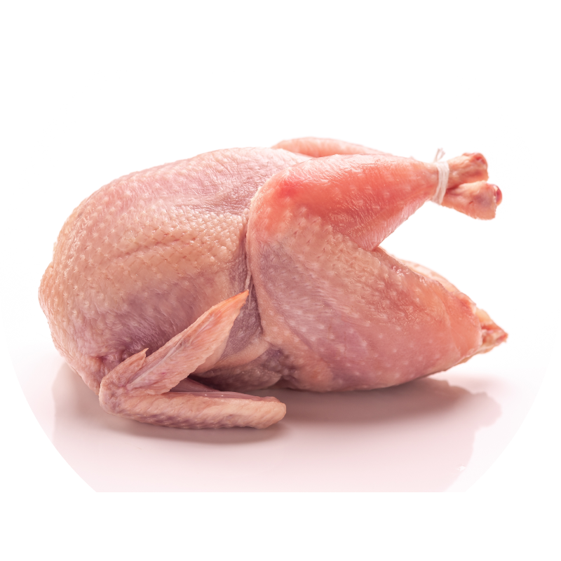 Codorniz