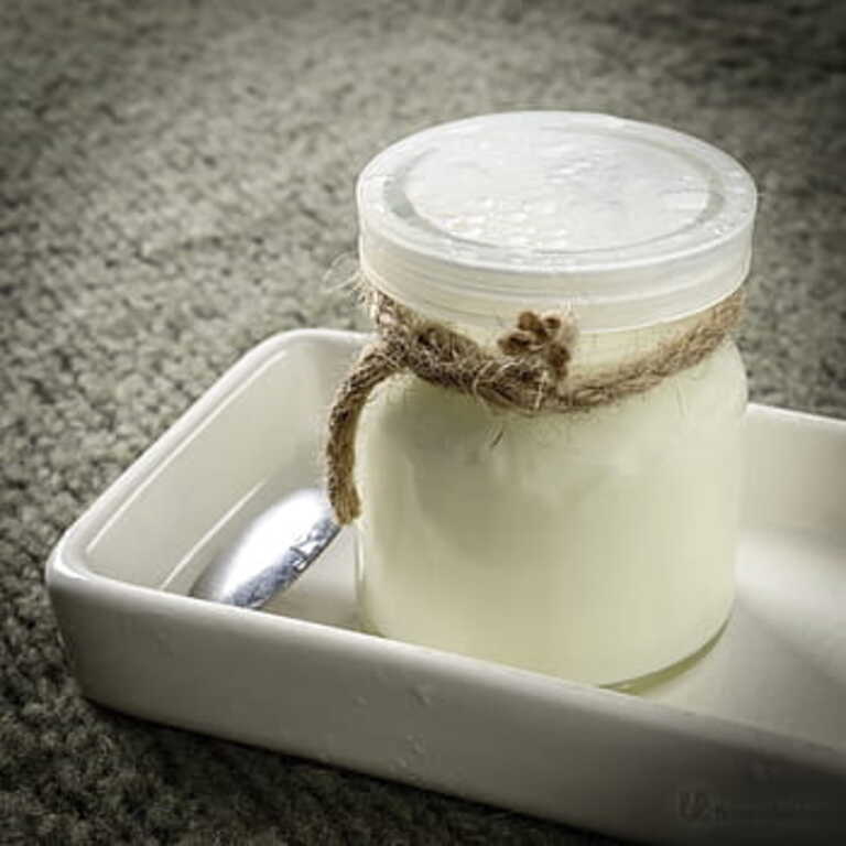 Yogur de cabra