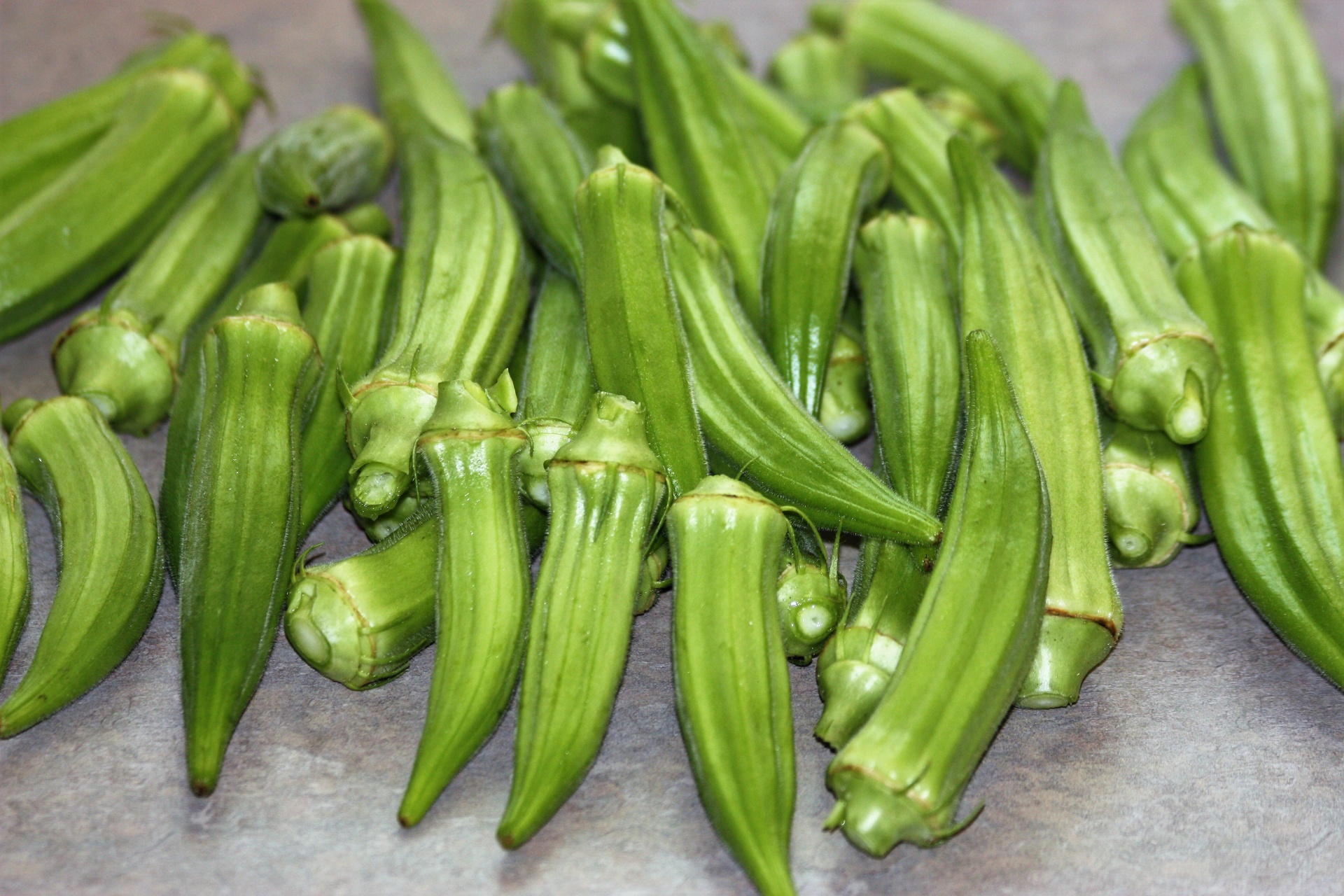 Okra