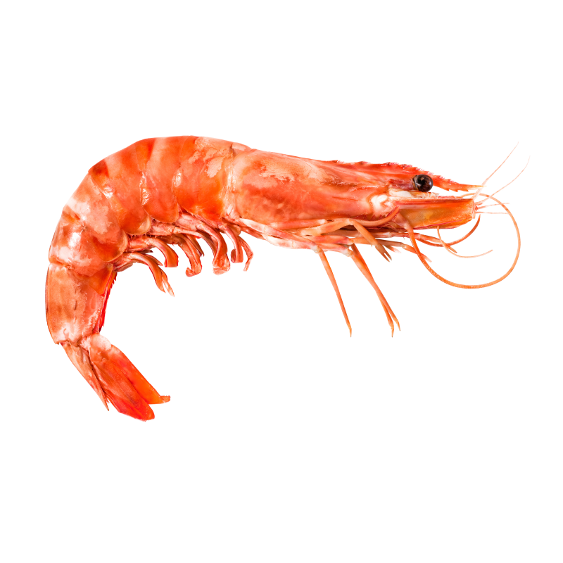 Langostino cocido