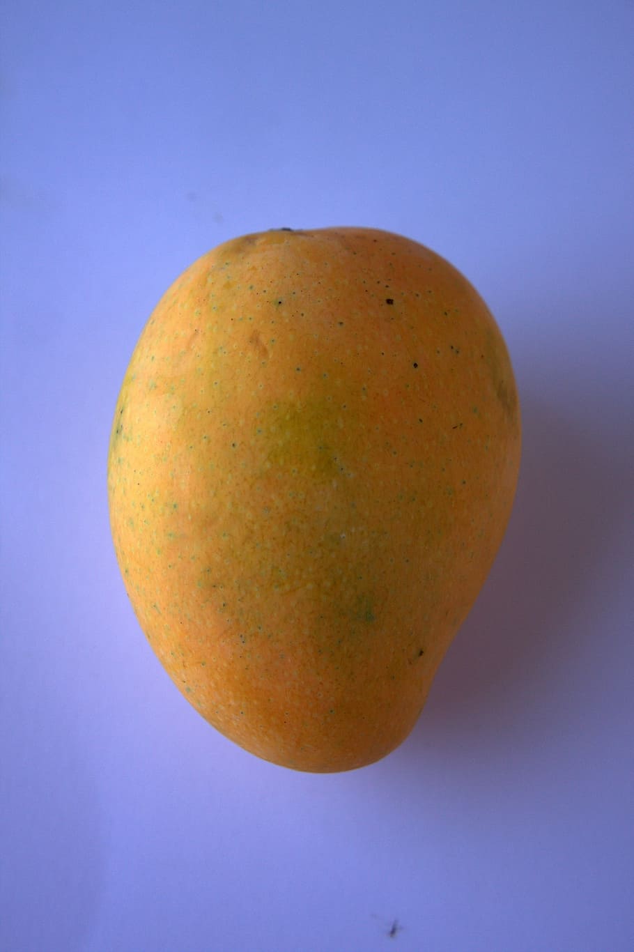 Mini mango