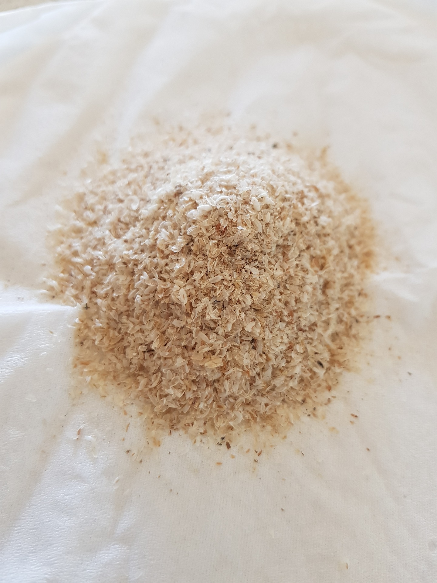 Psyllium en polvo