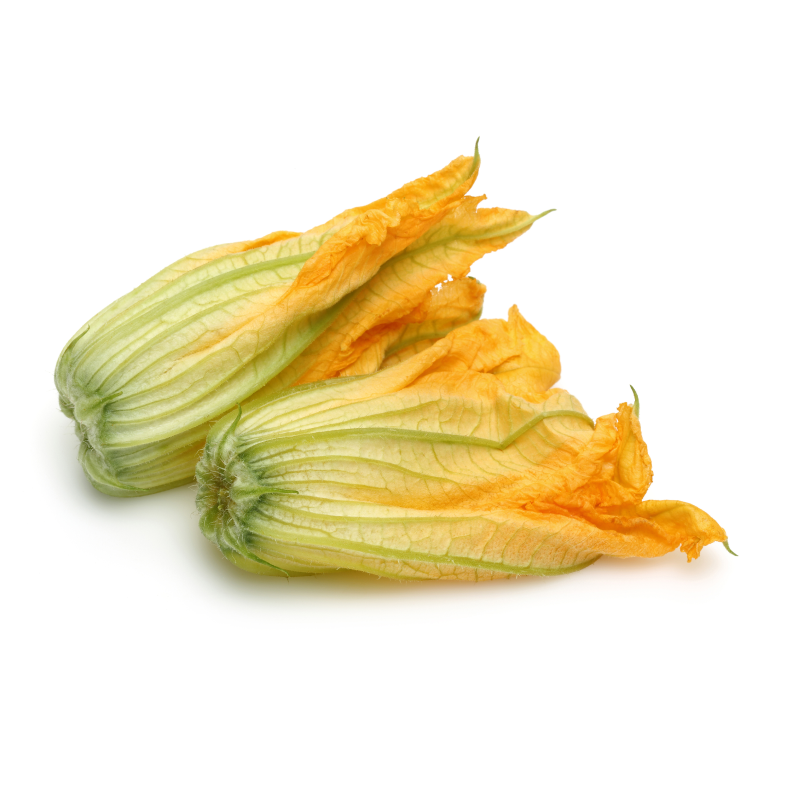 Flor de calabacín