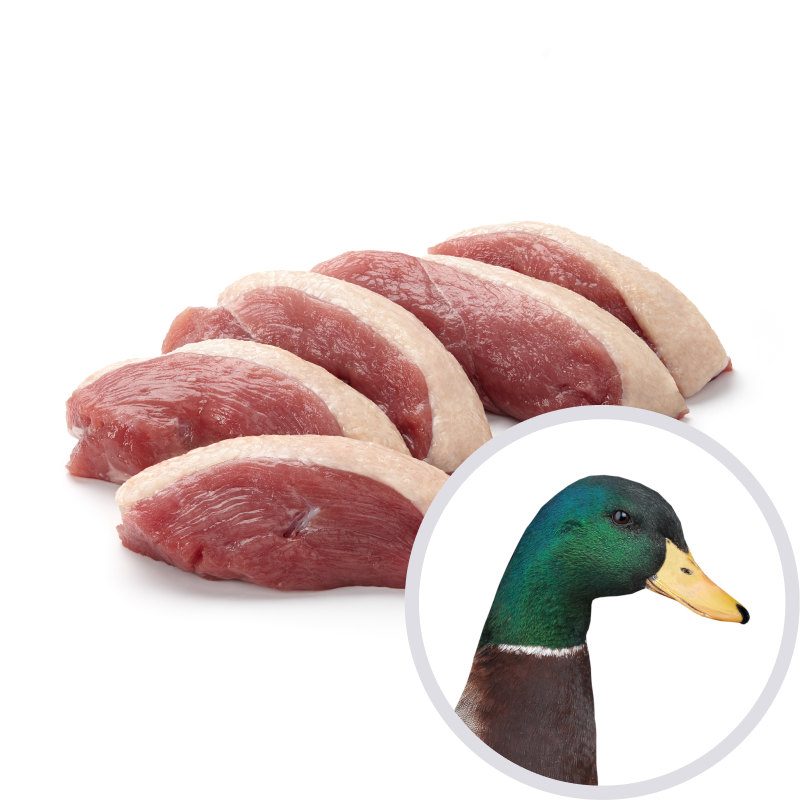Petto d'anatra