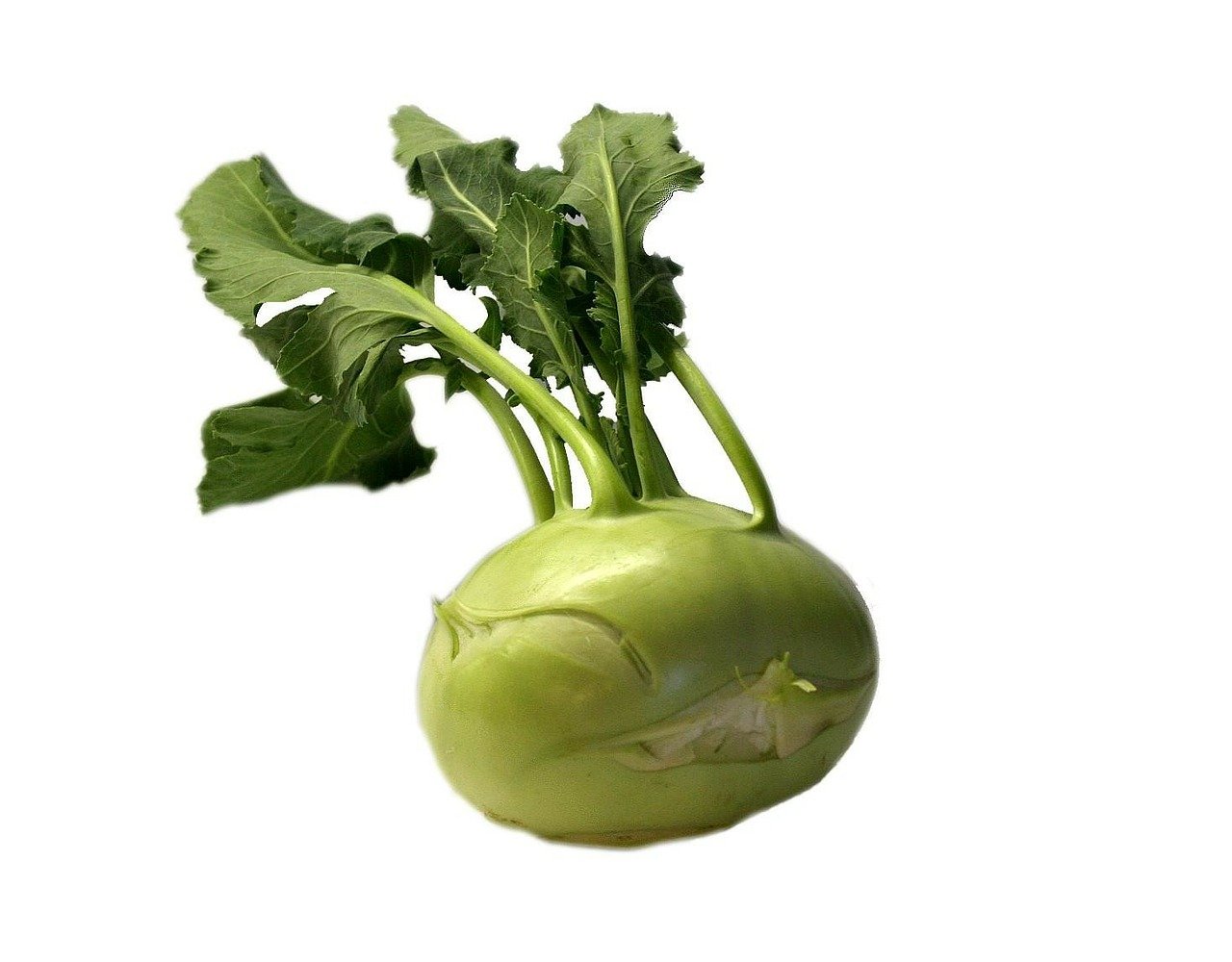 Colinabo
