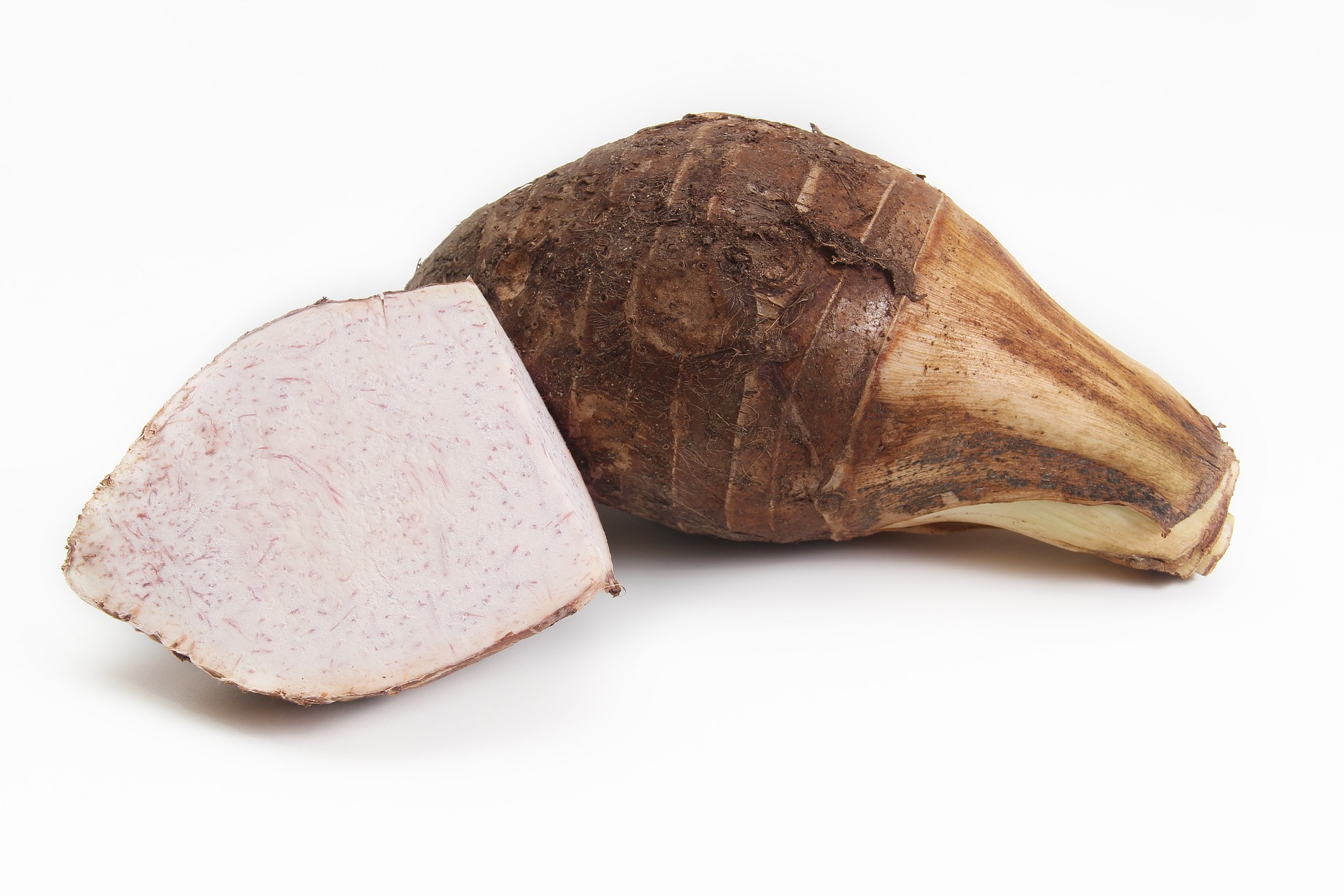 Taro / malanga