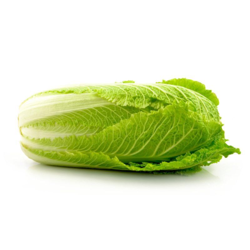 Chinese cabbage