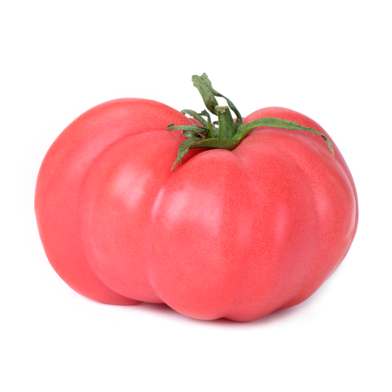 Tomate rosa