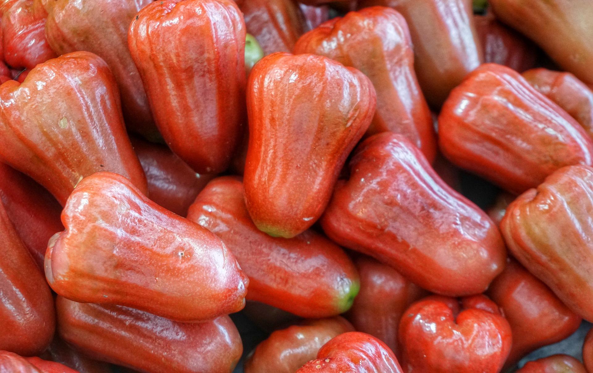 Pomarrosa Pomarrosa